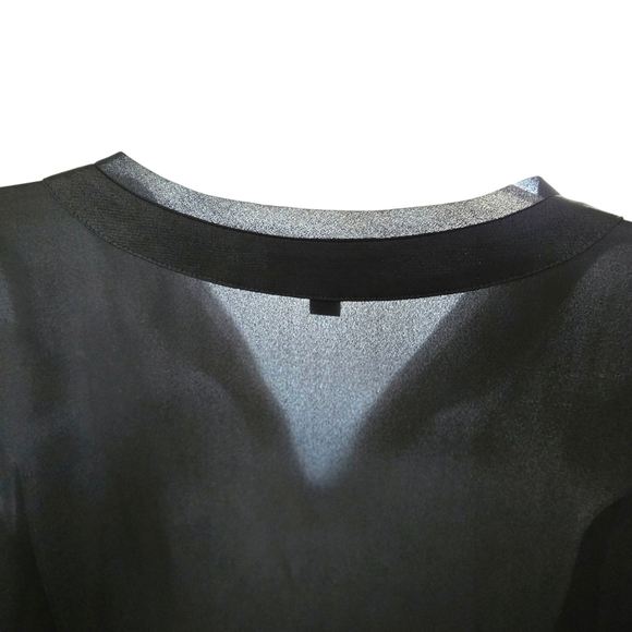 Express Sheer Black V-Neck Blouse - Picture 8 of 9